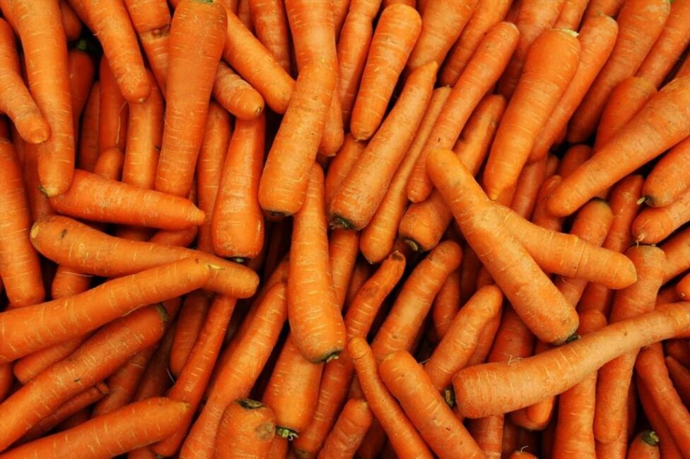 Dziecięce danie delikatna zupa marchewkowa