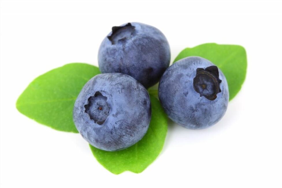 Właściwości zdrowotne jagody kamczackiej